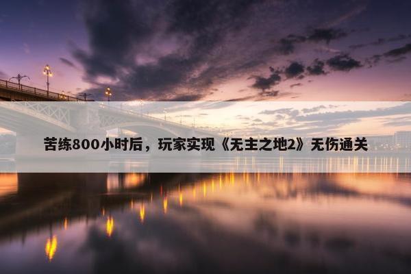 苦练800小时后，玩家实现《无主之地2》无伤通关