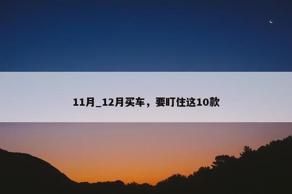 11月_12月买车，要盯住这10款