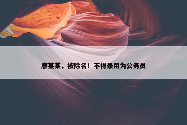 廖某某，被除名！不得录用为公务员