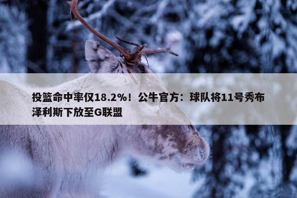 投篮命中率仅18.2%！公牛官方：球队将11号秀布泽利斯下放至G联盟