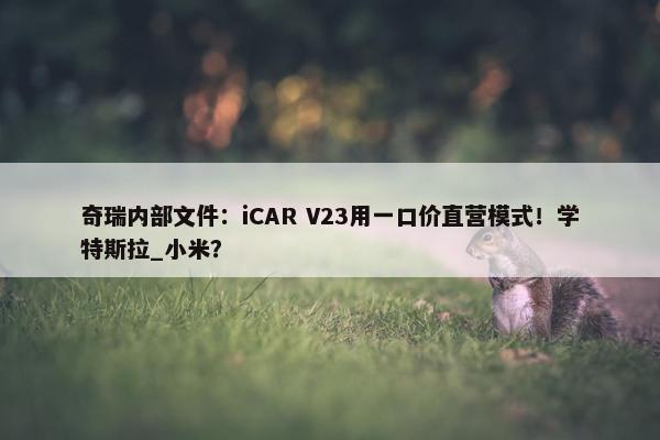 奇瑞内部文件：iCAR V23用一口价直营模式！学特斯拉_小米？