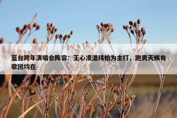 蓝台跨年演唱会阵容：王心凌潘玮柏为主打，跑男天赐有歌团均在