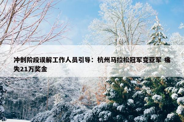 冲刺阶段误解工作人员引导：杭州马拉松冠军变亚军 痛失21万奖金 