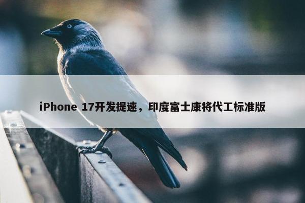 iPhone 17开发提速，印度富士康将代工标准版