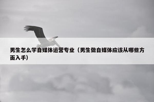 男生怎么学自媒体运营专业（男生做自媒体应该从哪些方面入手）