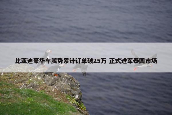 比亚迪豪华车腾势累计订单破25万 正式进军泰国市场