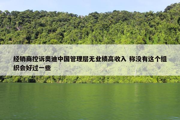 经销商控诉奥迪中国管理层无业绩高收入 称没有这个组织会好过一些