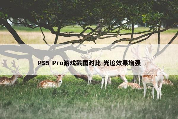 PS5 Pro游戏截图对比 光追效果增强