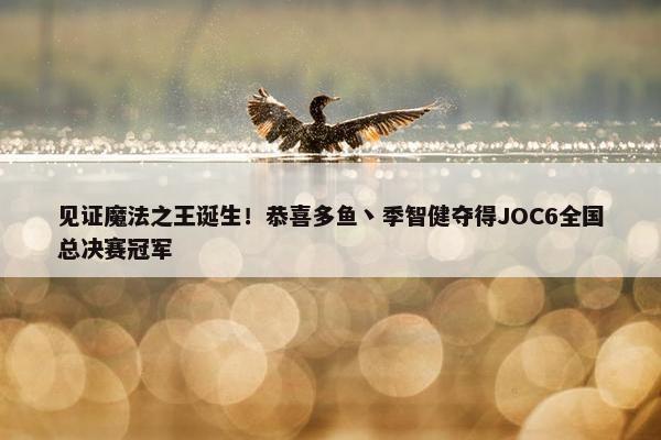 见证魔法之王诞生！恭喜多鱼丶季智健夺得JOC6全国总决赛冠军