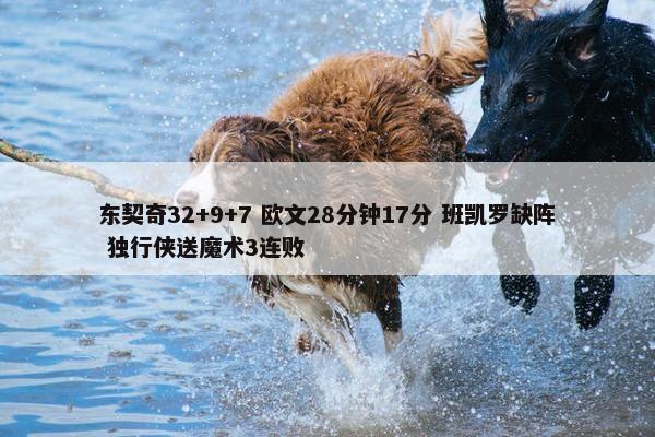 东契奇32+9+7 欧文28分钟17分 班凯罗缺阵 独行侠送魔术3连败