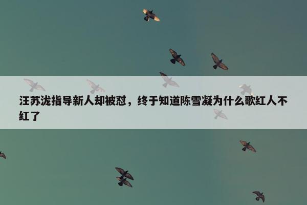 汪苏泷指导新人却被怼，终于知道陈雪凝为什么歌红人不红了