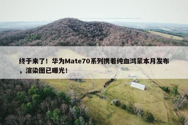 终于来了！华为Mate70系列携着纯血鸿蒙本月发布，渲染图已曝光！