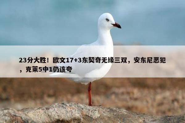 23分大胜！欧文17+3东契奇无缘三双，安东尼恶犯，克莱5中1仍该夸