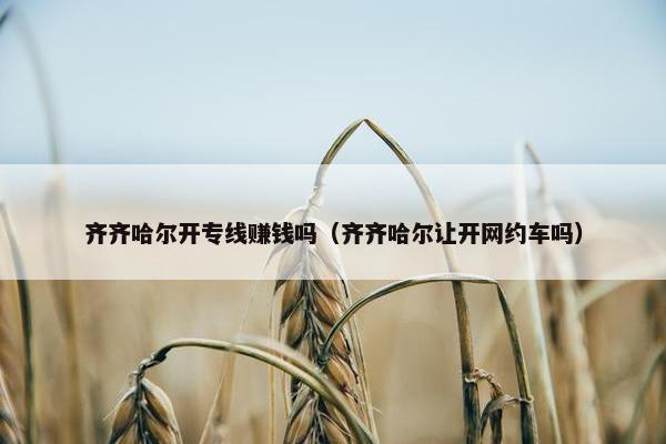 齐齐哈尔开专线赚钱吗（齐齐哈尔让开网约车吗）