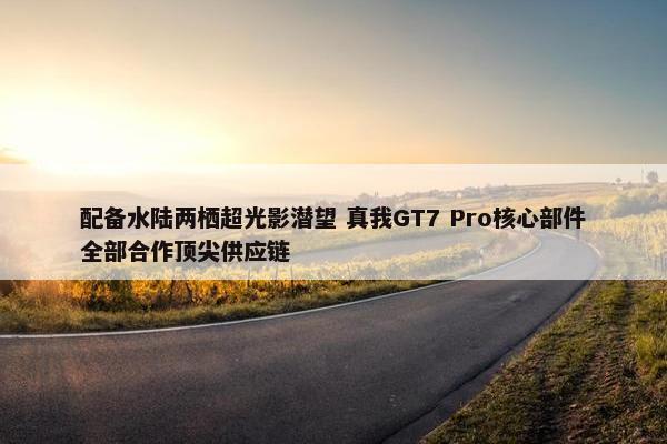 配备水陆两栖超光影潜望 真我GT7 Pro核心部件全部合作顶尖供应链