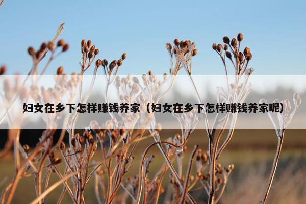 妇女在乡下怎样赚钱养家（妇女在乡下怎样赚钱养家呢）