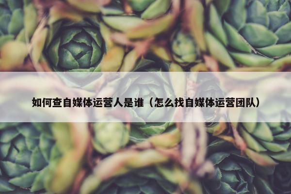 如何查自媒体运营人是谁（怎么找自媒体运营团队）