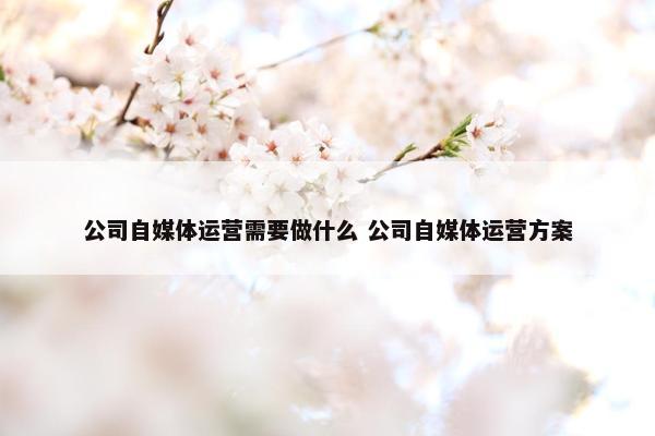 公司自媒体运营需要做什么 公司自媒体运营方案