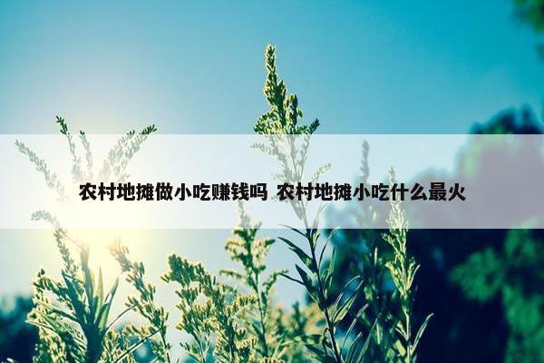 农村地摊做小吃赚钱吗 农村地摊小吃什么最火