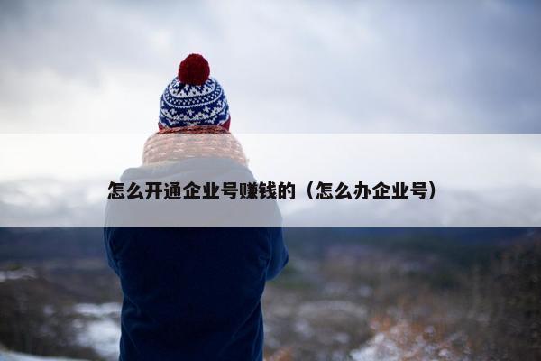 怎么开通企业号赚钱的（怎么办企业号）