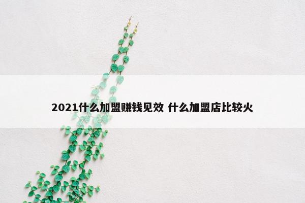 2021什么加盟赚钱见效 什么加盟店比较火