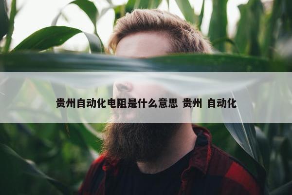 贵州自动化电阻是什么意思 贵州 自动化