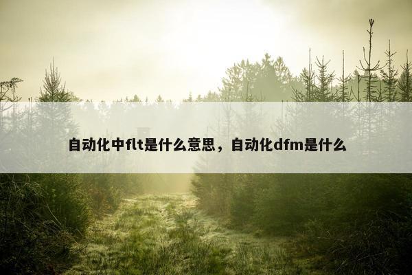 自动化中flt是什么意思，自动化dfm是什么