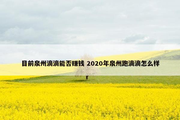 目前泉州滴滴能否赚钱 2020年泉州跑滴滴怎么样