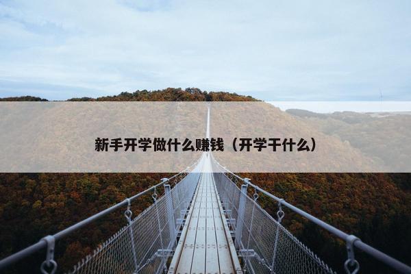 新手开学做什么赚钱（开学干什么）