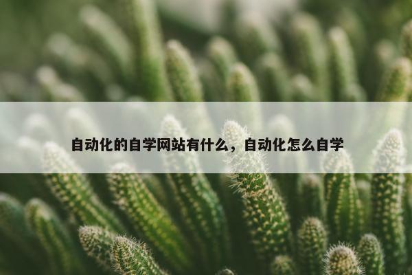 自动化的自学网站有什么，自动化怎么自学