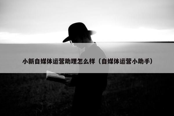 小新自媒体运营助理怎么样（自媒体运营小助手）