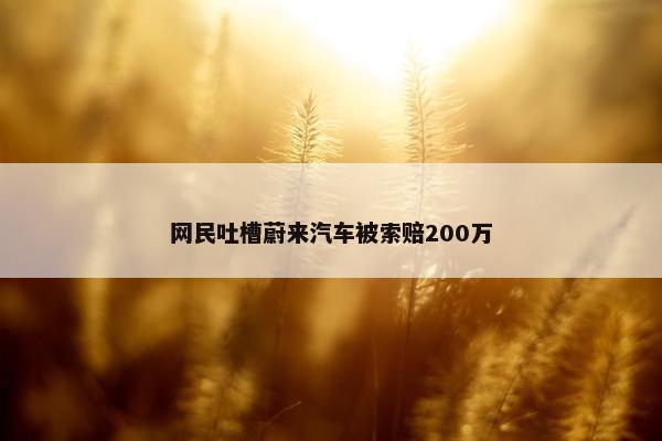 网民吐槽蔚来汽车被索赔200万