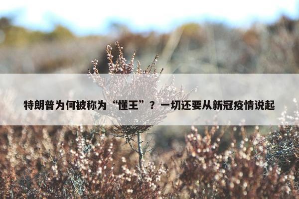 特朗普为何被称为“懂王”？一切还要从新冠疫情说起