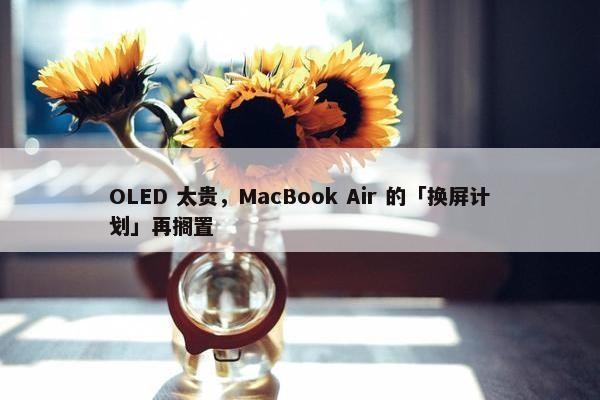 OLED 太贵，MacBook Air 的「换屏计划」再搁置