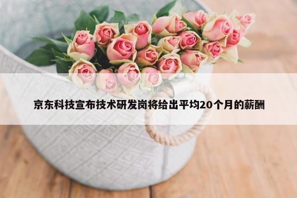 京东科技宣布技术研发岗将给出平均20个月的薪酬