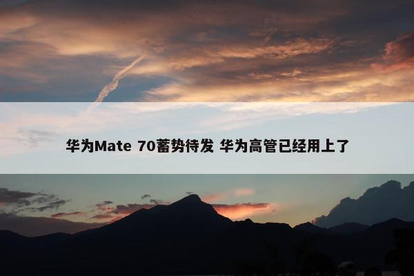 华为Mate 70蓄势待发 华为高管已经用上了