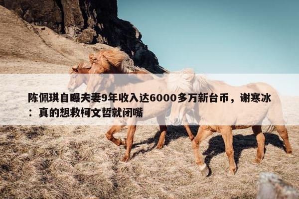 陈佩琪自曝夫妻9年收入达6000多万新台币，谢寒冰：真的想救柯文哲就闭嘴