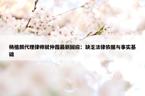 杨植麟代理律师就仲裁最新回应：缺乏法律依据与事实基础