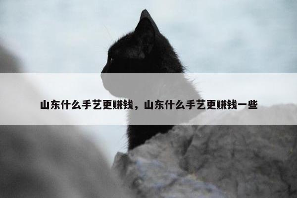 山东什么手艺更赚钱，山东什么手艺更赚钱一些