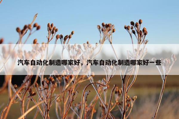 汽车自动化制造哪家好，汽车自动化制造哪家好一些