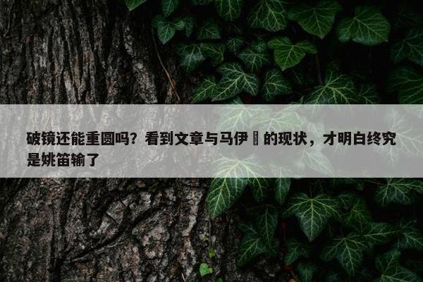 破镜还能重圆吗？看到文章与马伊琍的现状，才明白终究是姚笛输了