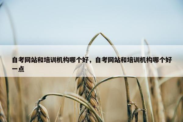 自考网站和培训机构哪个好，自考网站和培训机构哪个好一点