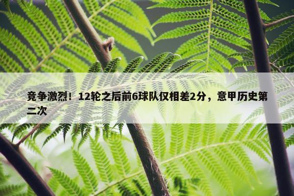 竞争激烈！12轮之后前6球队仅相差2分，意甲历史第二次