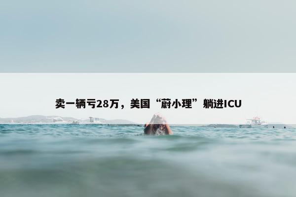 卖一辆亏28万，美国“蔚小理”躺进ICU