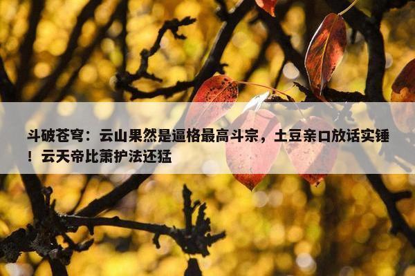 斗破苍穹：云山果然是逼格最高斗宗，土豆亲口放话实锤！云天帝比萧护法还猛