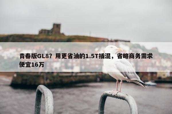 青春版GL8？用更省油的1.5T插混，省略商务需求便宜16万