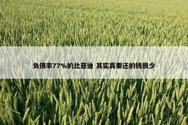 负债率77%的比亚迪 其实真要还的钱很少