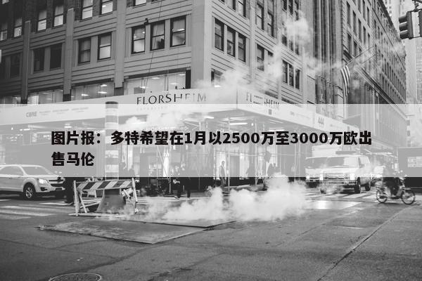 图片报：多特希望在1月以2500万至3000万欧出售马伦