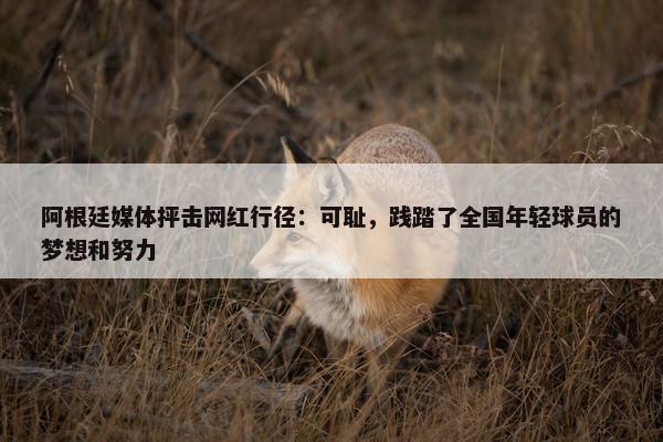 阿根廷媒体抨击网红行径：可耻，践踏了全国年轻球员的梦想和努力