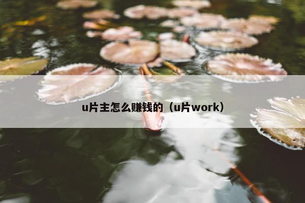 u片主怎么赚钱的（u片work）